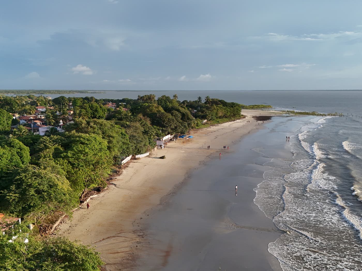 Festival de Verão de Algodoal